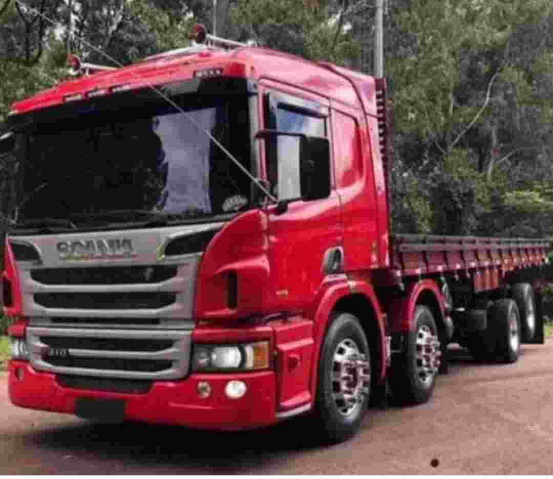 SCANIA P-310 2016 6X4 - Foto 1