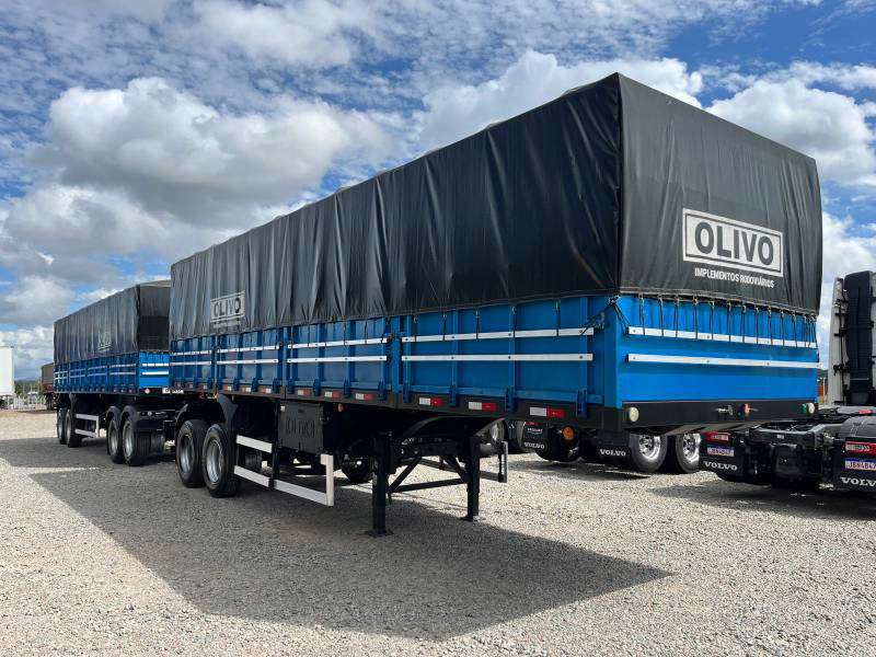 OLIVO GRANELEIRO 2024 - Foto 1