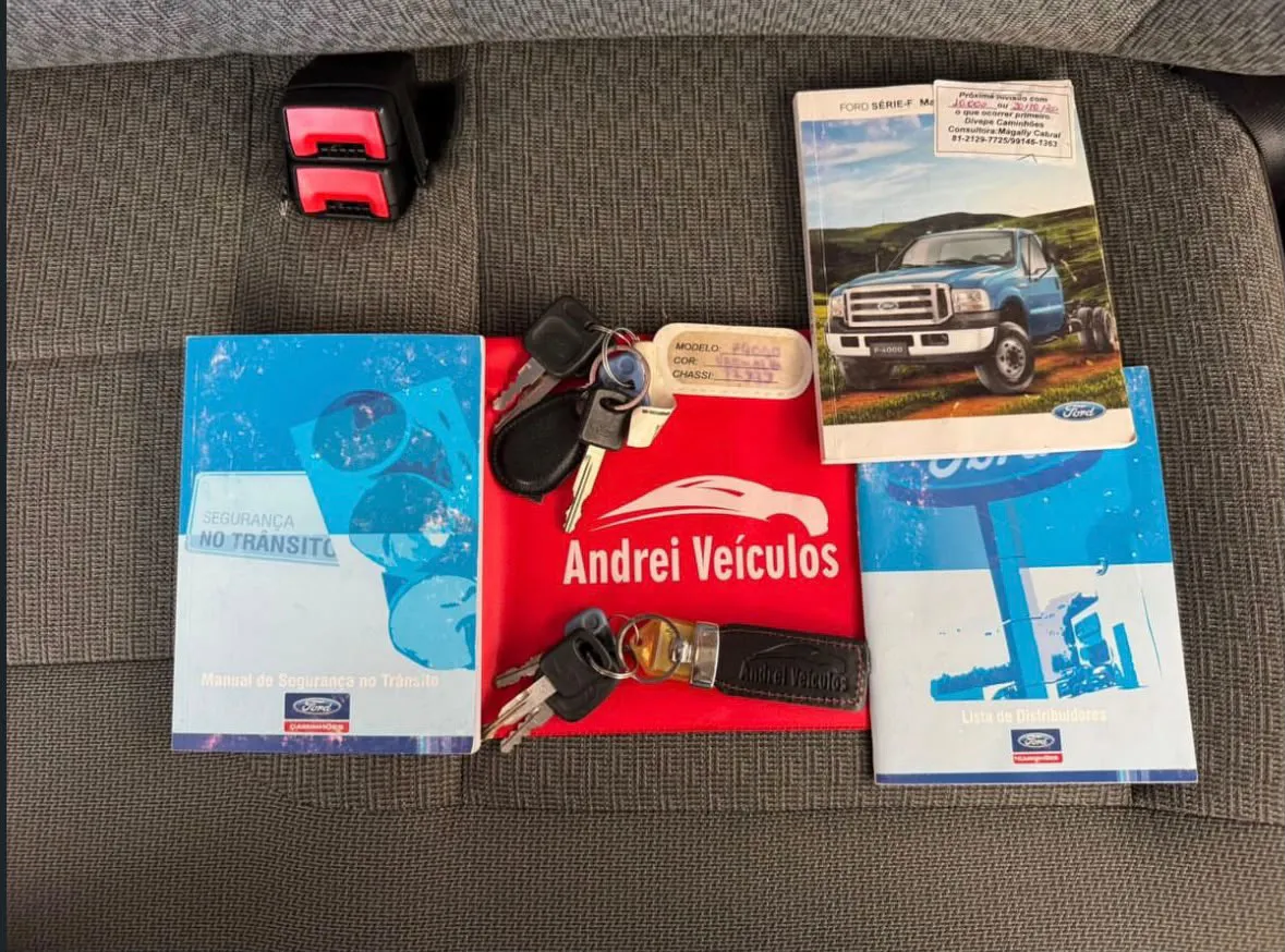 FORD F-4000 2019 4X2 - Foto 8